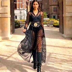 Zara Tulle Dot Black Mesh dress!